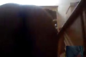 Массаж Stepsister превращается в парный секс